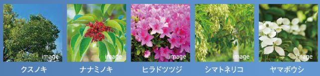 ブライトタウン御厨駅前