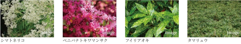 サンクレイドル千葉II