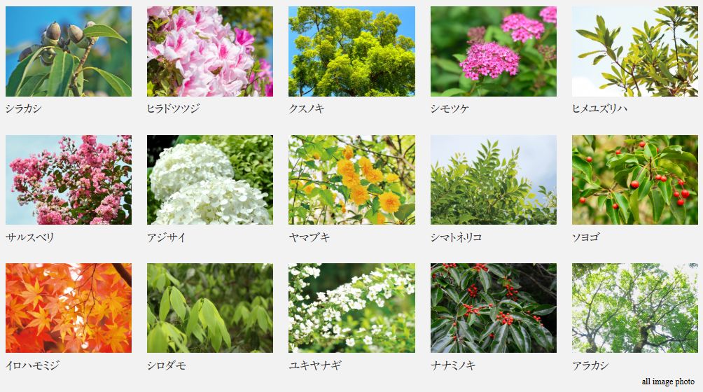 ブランズシティ品川ルネ キャナル