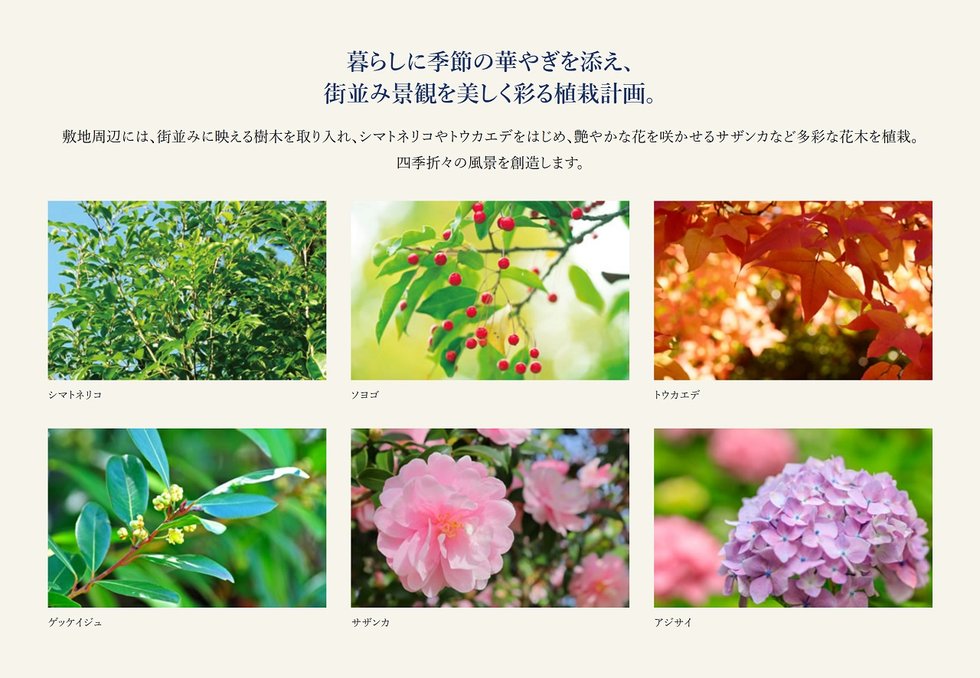ワコーレ神戸P.I.TOWER RESIDENCE