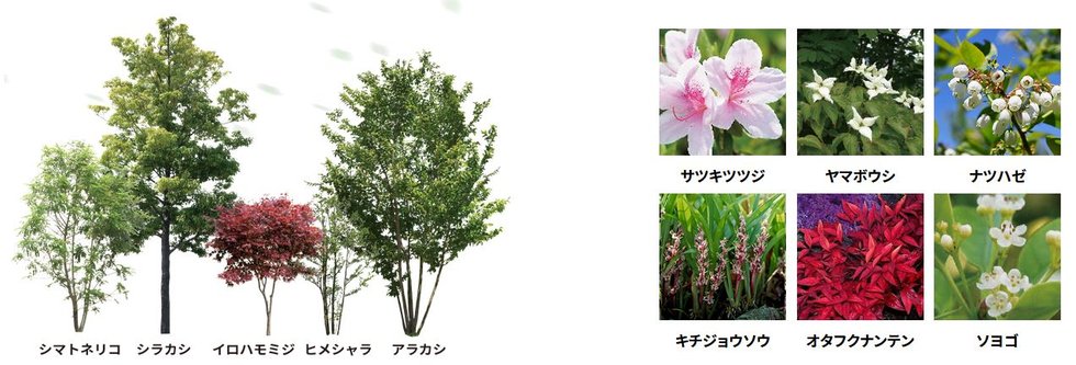 ファインセントラルシティ