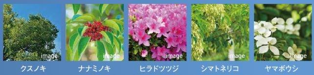 ブライトタウン御厨駅前