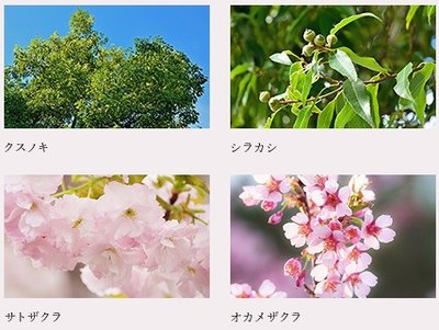 イノバス不動前