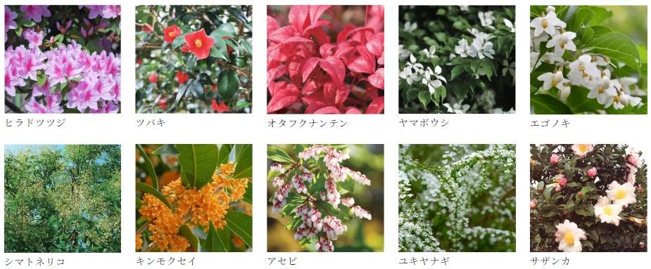 グランドパレス柳丸新城
