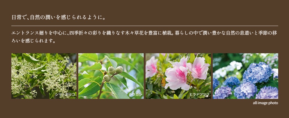 リビオ御堂筋あびこ