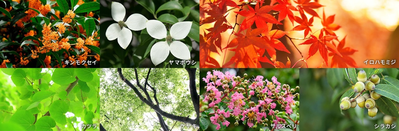 Grace Garden 小平小川東