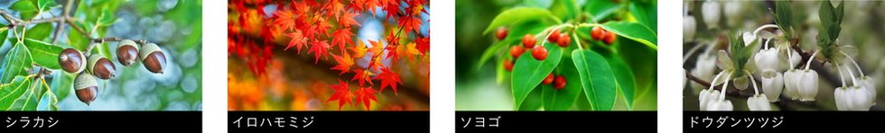 アウラ立川曙町