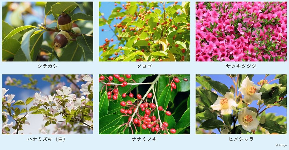 ハイムスイート川崎小島新田