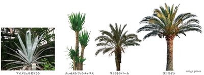 レ・ジェイド西宮甲子園