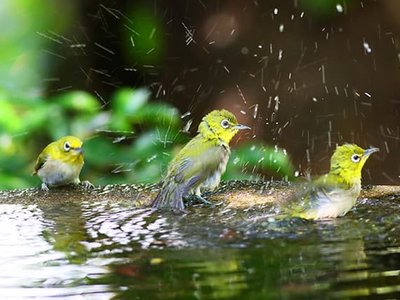 プラウドシティ所沢
