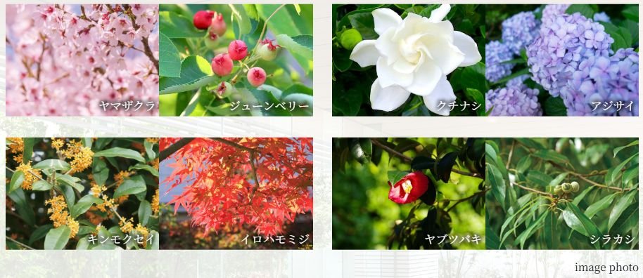 カサーレ上新庄ブライトマークス