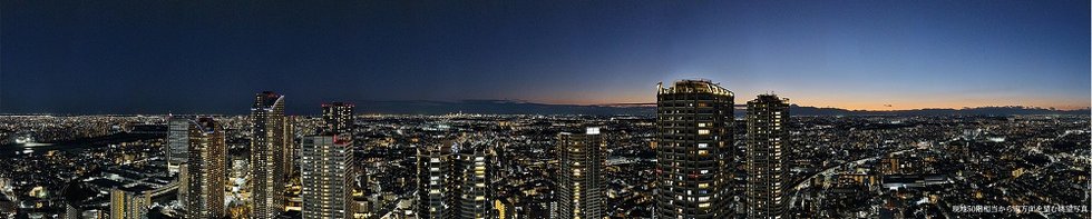 ザ・パークハウス 武蔵小杉タワーズ