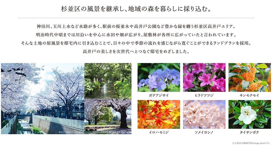 シエリア杉並高井戸