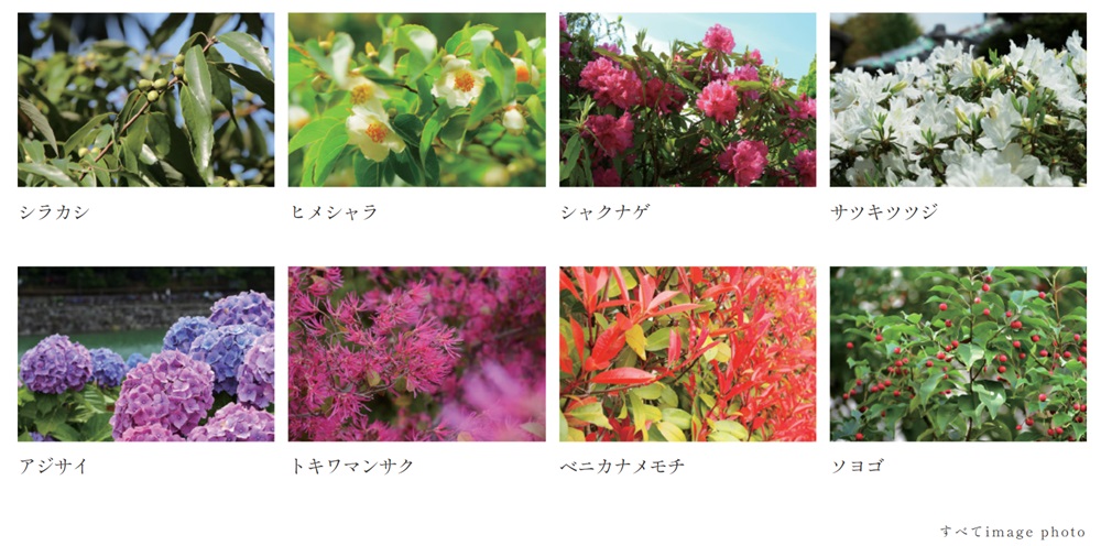 ヴェレーナブリエ港南中央