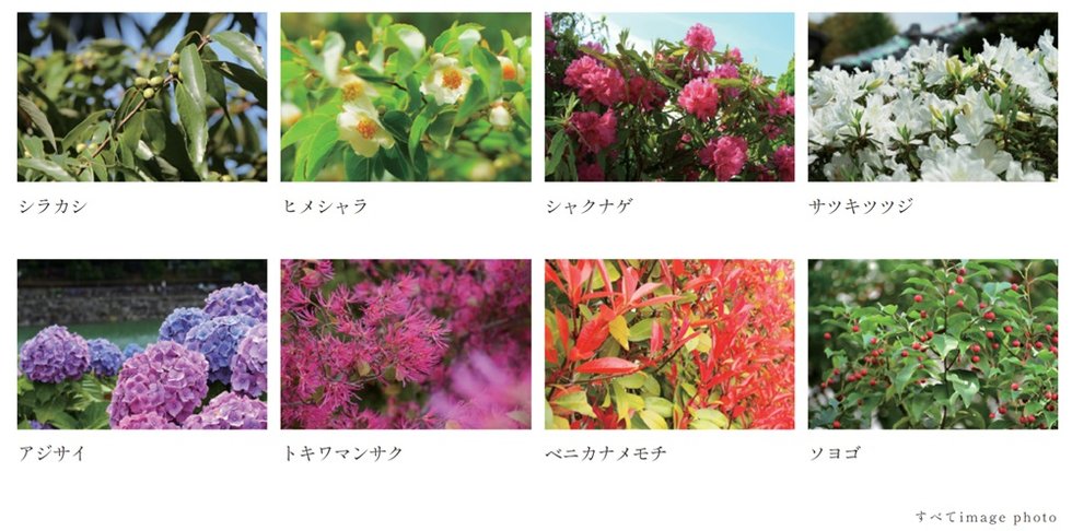ヴェレーナブリエ港南中央
