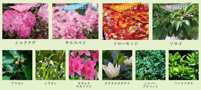 ソライエ南桜井