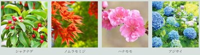 ポレスター自治医大ガーデンヴィラ