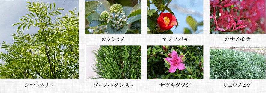 クレアホームズ道後西 ザ・レジデンス