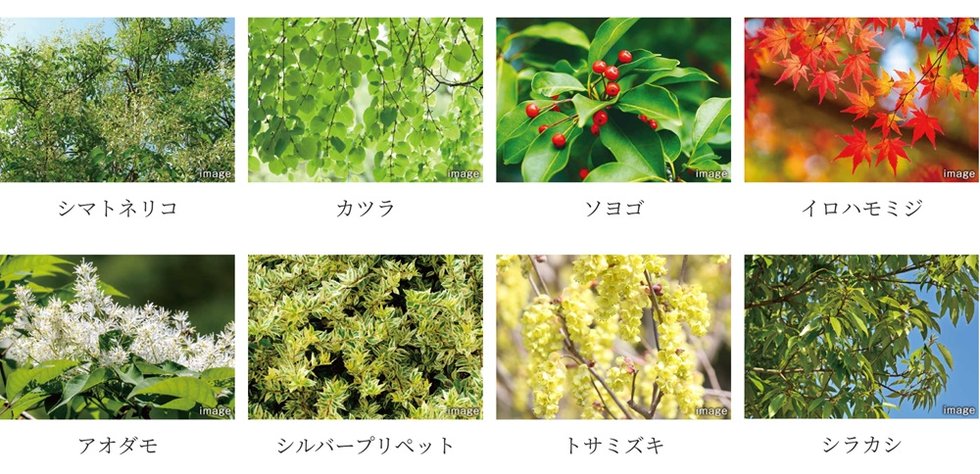 サーパス大分金池
