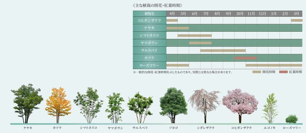 リーフィアタワー海老名クロノスコート
