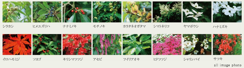 プレディア一宮ハイムスイート