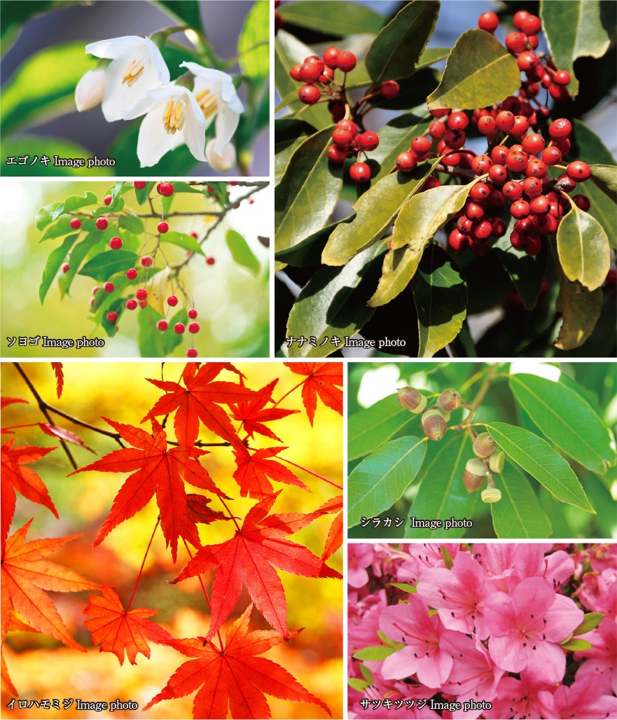 ハイムスイート高崎 ザ・レジデンス