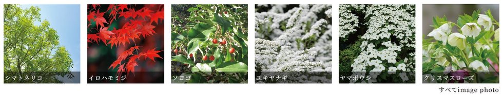 プラウド池下高見