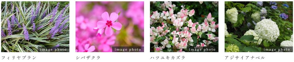 ルジェンテ田園調布南
