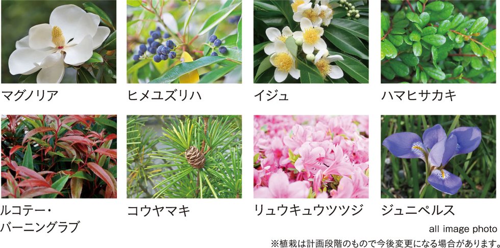 レーベン別府 THE PHILOSOPHIA