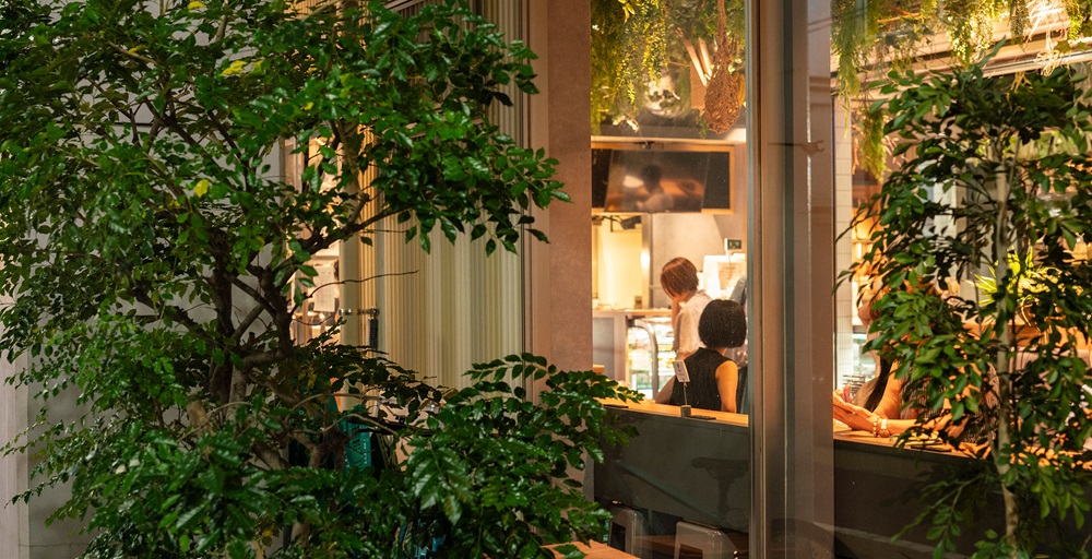 ディアナコート学芸大学テラス