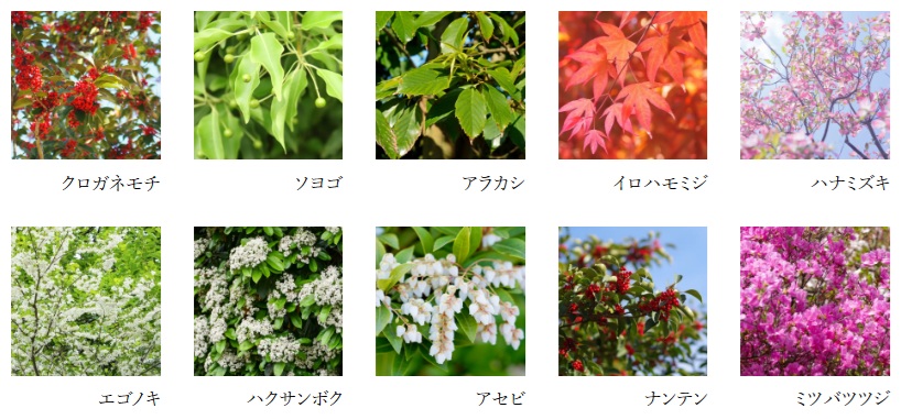 リビオ上野池之端