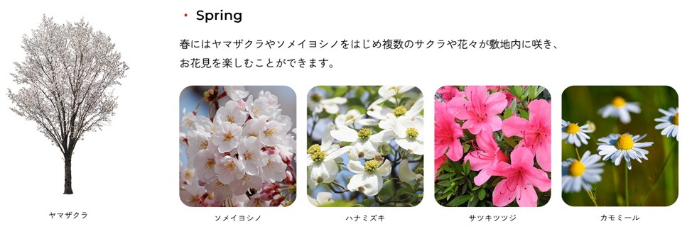 トモニアルシティ