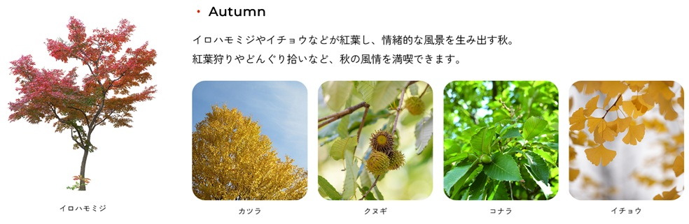 トモニアルシティ