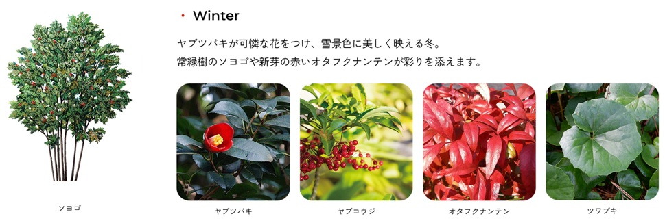 トモニアルシティ