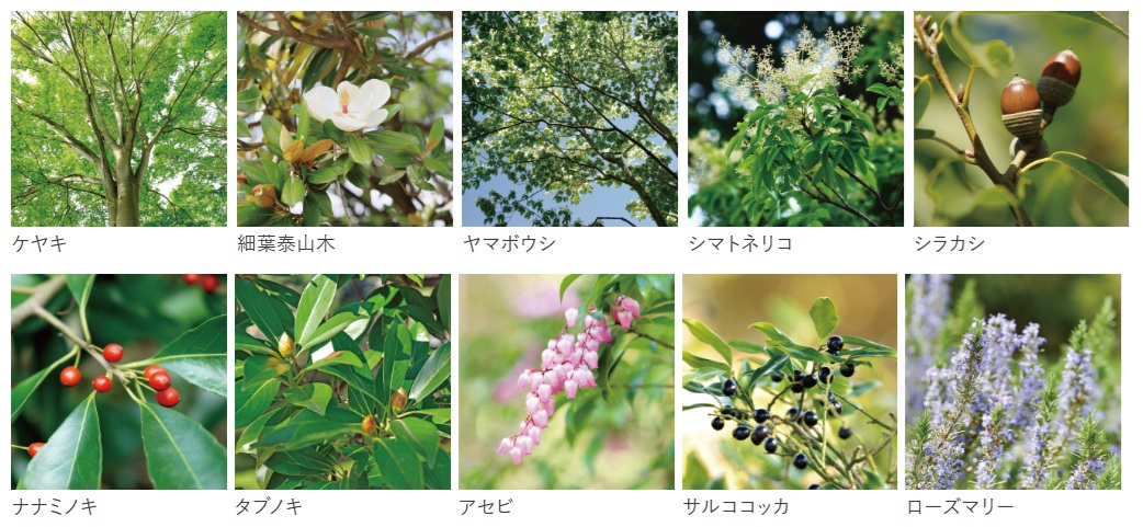 久留米ザ・タワー レジデンシャル
