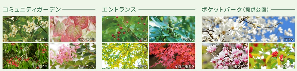 リーフィアレジデンス栗平テラス