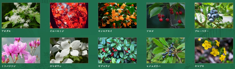 リビオ光が丘ガーデンズ