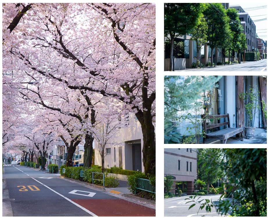 ディアナコート学芸大学テラス