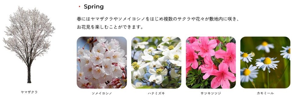 トモニアルシティ