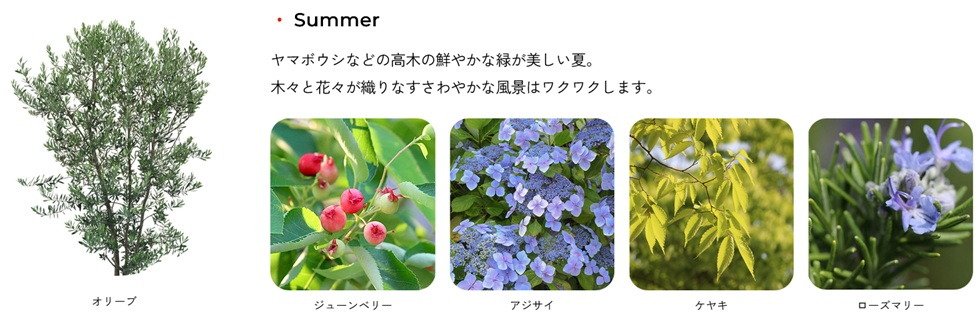 トモニアルシティ