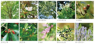 久留米ザ・タワー レジデンシャル