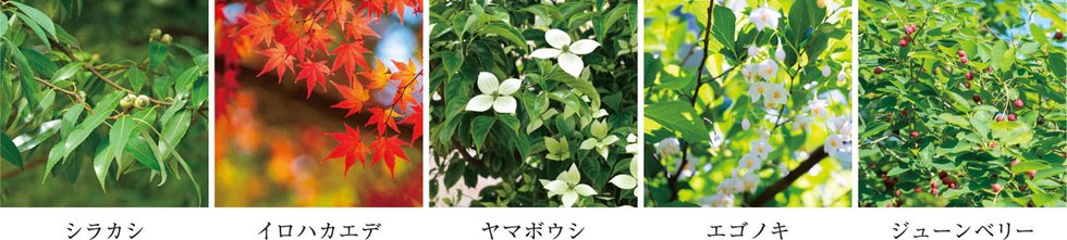 ユニハイム朝霞本町