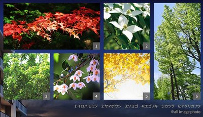 ザ・パークハウス 川越フロント