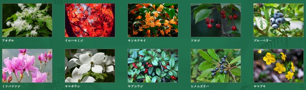 リビオ光が丘ガーデンズ