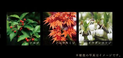 ヴァースクレイシアIDZ千葉