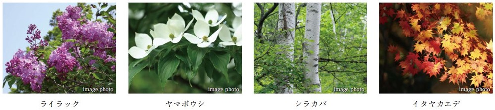 ブランズ札幌大通東