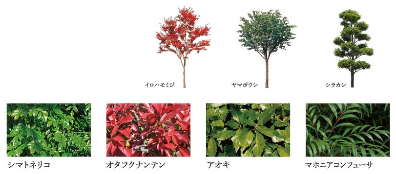 ティサージュ桜山
