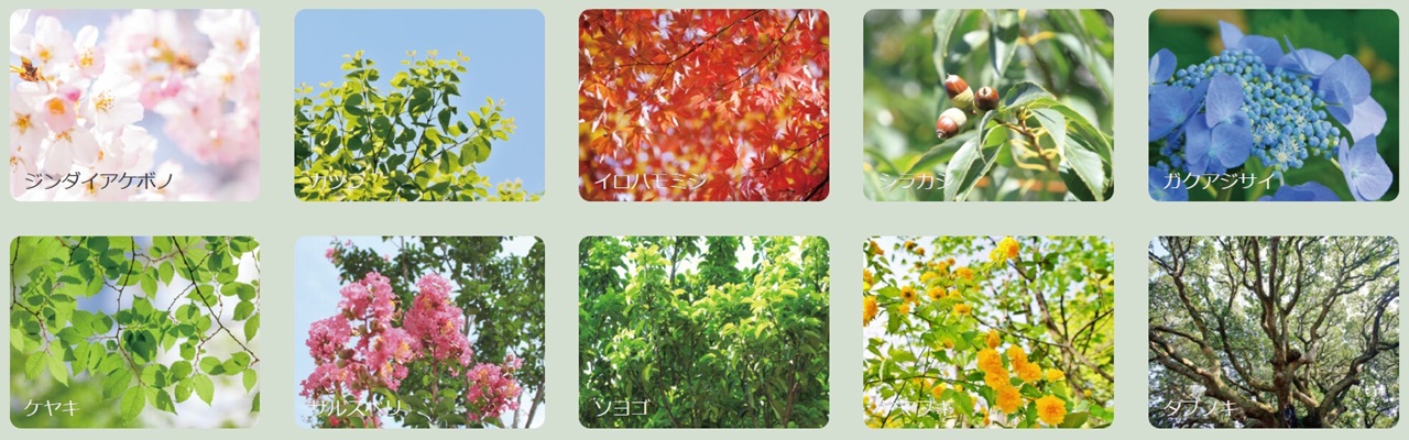 レ・ジェイド海老名