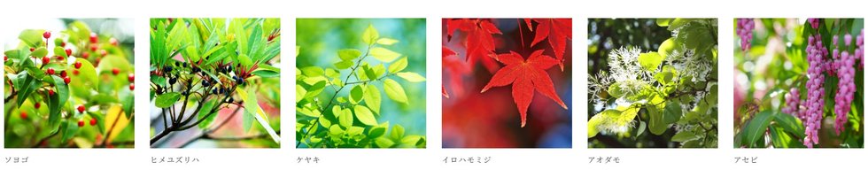 プラウド五橋