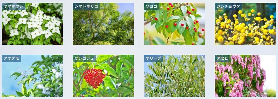 プレサンス ロジェ 塚口ザ・マークス